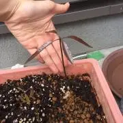 一期一会の画像
