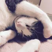 りい