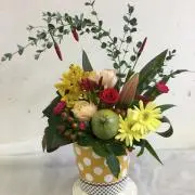 はーつの画像