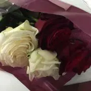 ☆たーちゅ☆