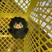 うさちゃんの画像