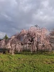 外舘泰治