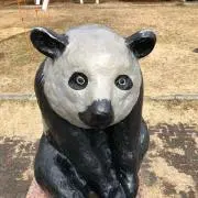きく兄