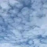 ぷーぴーの画像