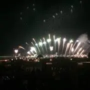 ブッシー