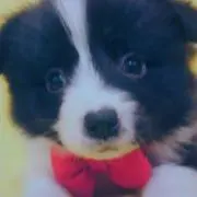 てぃん