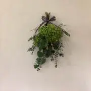 Green_aの画像