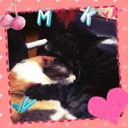 M&Kプロフ読んでください！