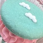 ピポの画像