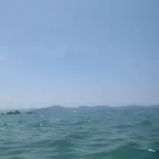 りの画像