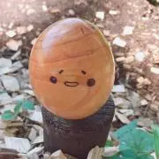 さぼたんの画像