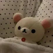 コリさんの画像