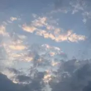 ゆいとの画像