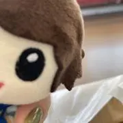 ちゃの画像