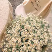 ao_39の画像