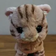 りえぞう