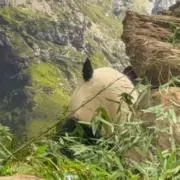 けいの画像