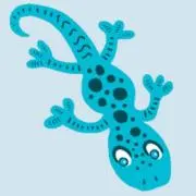 Gekkoの画像
