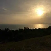 reiの画像