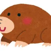 もぐらの画像