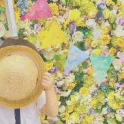 だぽちの画像