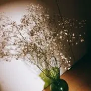 ZUYOの画像