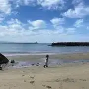 なみこ