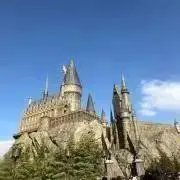 ノコノコの画像
