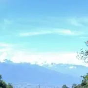 ややの画像