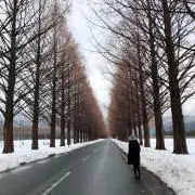 tomoの画像