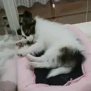 ちーさん