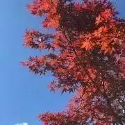 ハッチ
