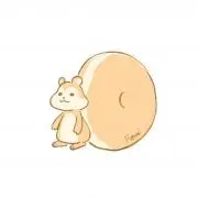 MINI®︎の画像