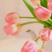 かずは(プロフ必読)