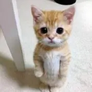 ゆーちゃん