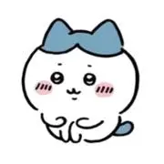 kuma@ 15日まで発送お休みの画像