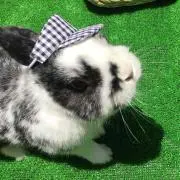 reatan♡まとめ買い値下げ交渉ok♡