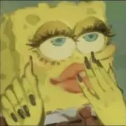 ぱとの画像