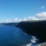 UMIの画像