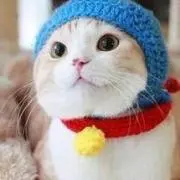 まーちゃんの画像