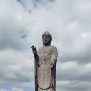 よしの画像