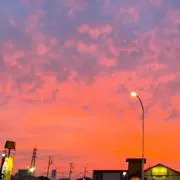 ☆ラん☆の画像