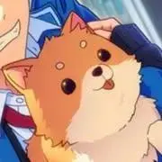 ホシ☆の画像