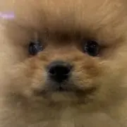 工事屋の画像