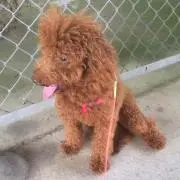 まさ