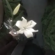 ®︎の画像