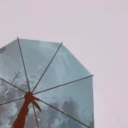 cooの画像