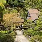 八岐の画像