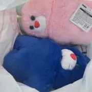Ｌの画像
