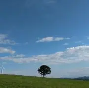 くりの画像